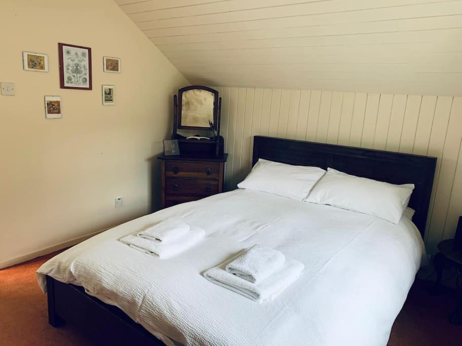 Trinity Annexe An Adorable First Floor Light And Lofty Space Within An Aonb Godmanstone Exterior photo